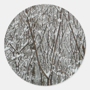 Snow Covered Branches Winter Abstract Classic Round Sticker