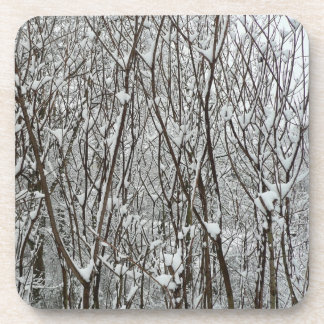Snow Covered Branches Winter Abstract Coaster