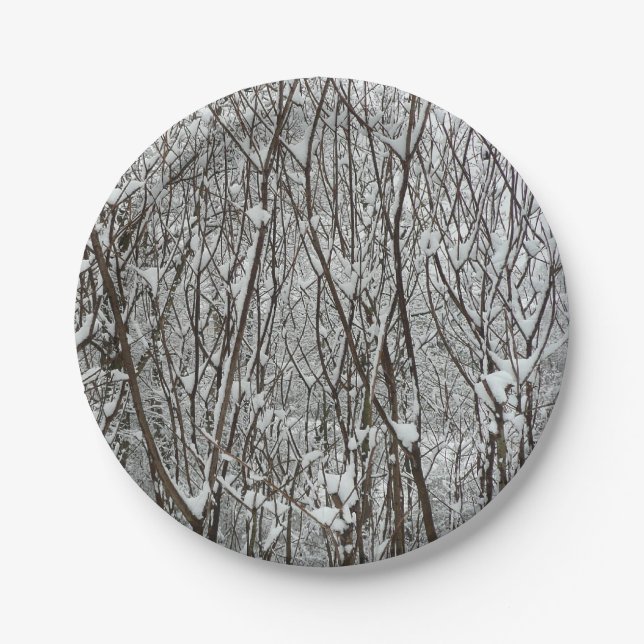 Snow Covered Branches Winter Abstract Paper Plate (Front)