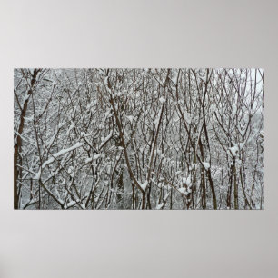 Snow Covered Branches Winter Abstract Photography Poster