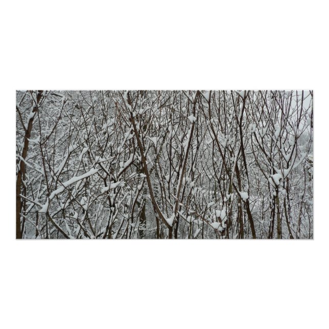 Snow Covered Branches Winter Abstract Poster (Front)