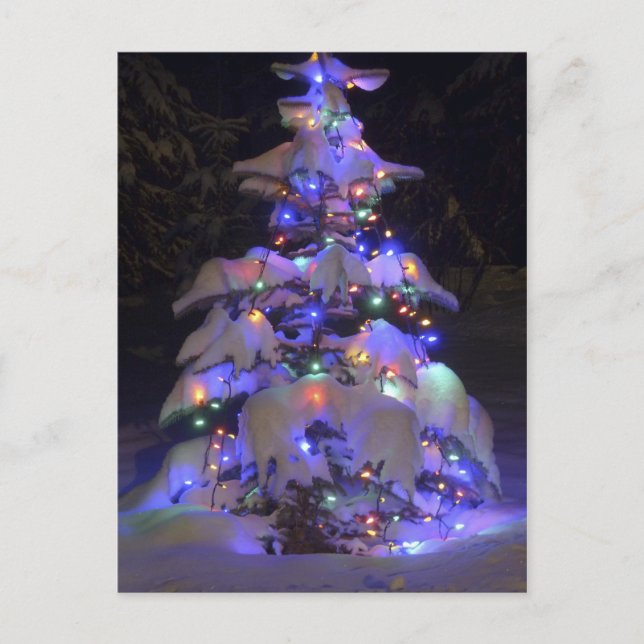 Snow Covered Brightly Lit Christmas Tree Holiday Postcard (Front)