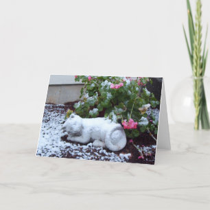 Snow Covered Cat Card