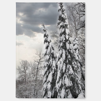 Snow-Covered Evergreen Trees Under Dramatic Winter Magnet
