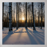 Snow-Covered Forest At Dusk