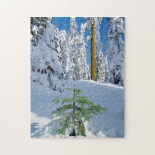 Snow Covered Forest in Oregon Jigsaw Puzzle