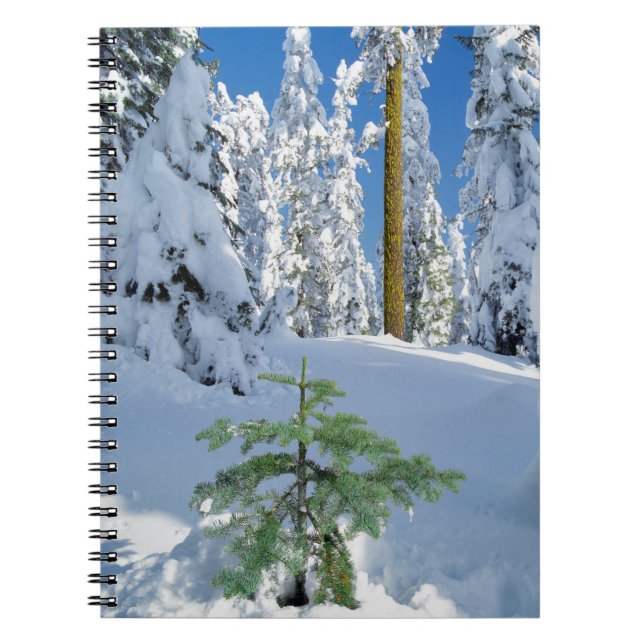 Snow Covered Forest in Oregon Notebook (Front)