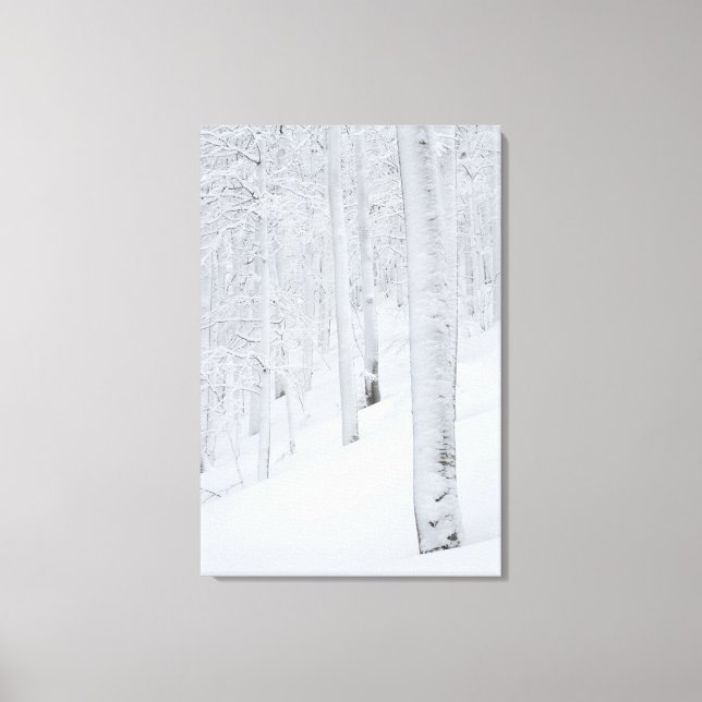 Snow covered forest winter wonderland canvas print (Front)