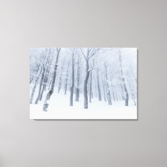 Snow covered frozen forest in winter canvas print (Front)