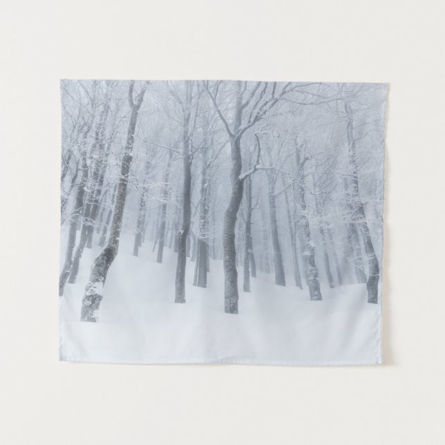 Snow covered frozen forest in winter tapestry (Front (Horizontal))