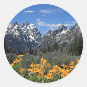 Snow Covered Grand Teton Range with Yellow Flowers Classic Round Sticker