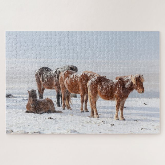 Snow Covered Icelandic Horses Jigsaw Puzzle (Horizontal)