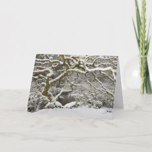 Snow-covered Japanese maple 2 Card