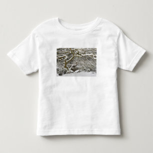 Snow-covered Japanese maple 2 Toddler T-Shirt