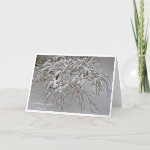 Snow-covered Japanese Maple card