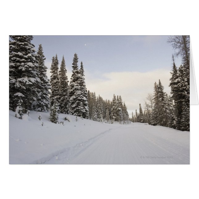 Snow-covered landscape (Front Horizontal)