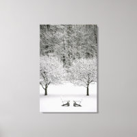 Snow covered landscape
