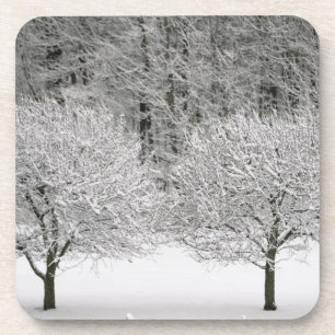Snow covered landscape coaster