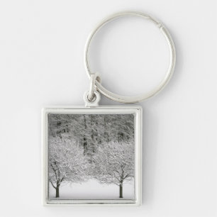 Snow covered landscape key ring