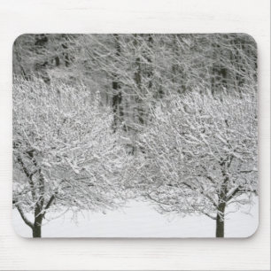 Snow covered landscape mouse pad