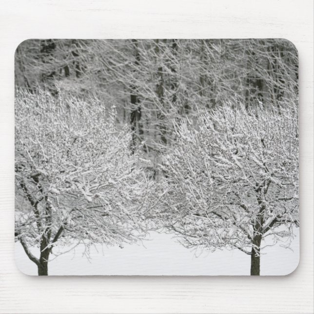 Snow covered landscape mouse pad (Front)