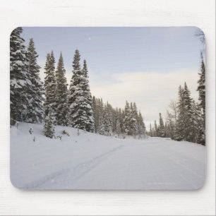 Snow-covered landscape mouse pad