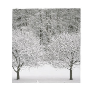 Snow covered landscape notepad