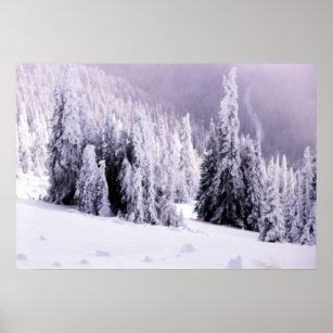 Snow covered landscape poster