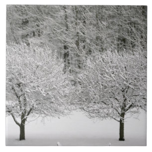 Snow covered landscape tile