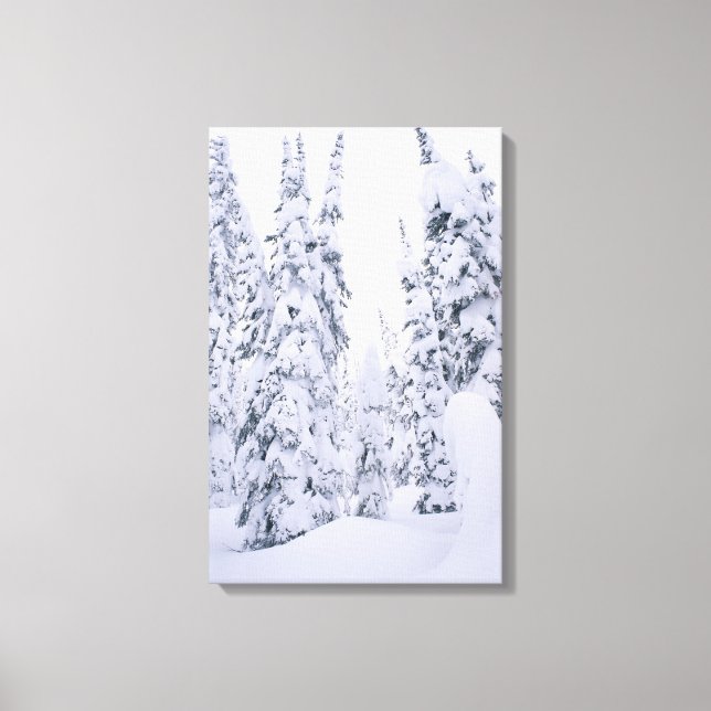 Snow-covered lodge pole pines canvas print (Front)
