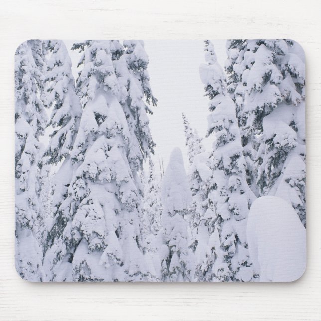 Snow-covered lodge pole pines mouse pad (Front)