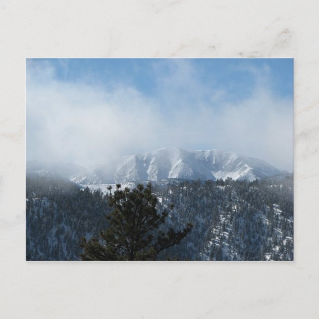 Snow Covered Mountain Postcard (Front)