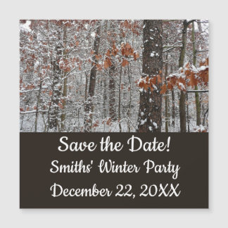 Snow Covered Oak Trees Winter Nature Photography