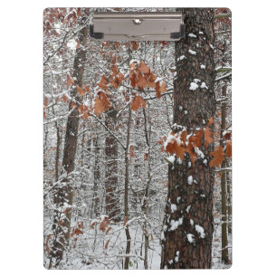 Snow Covered Oak Trees Winter Nature Photography Clipboard