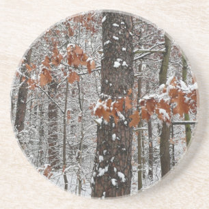 Snow Covered Oak Trees Winter Nature Photography Coaster