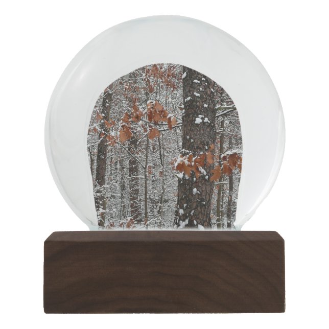 Snow Covered Oak Trees Winter Nature Photography Globe (Front)