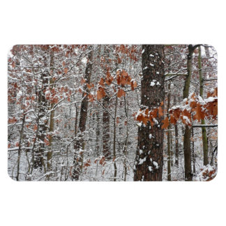 Snow Covered Oak Trees Winter Nature Photography Magnet