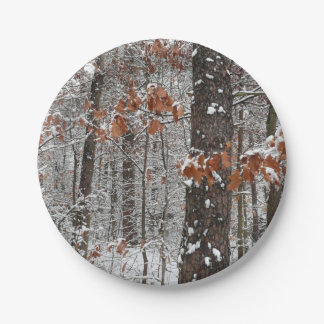 Snow Covered Oak Trees Winter Nature Photography Paper Plate