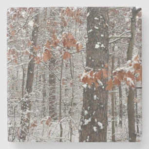 Snow Covered Oak Trees Winter Nature Photography Stone Coaster
