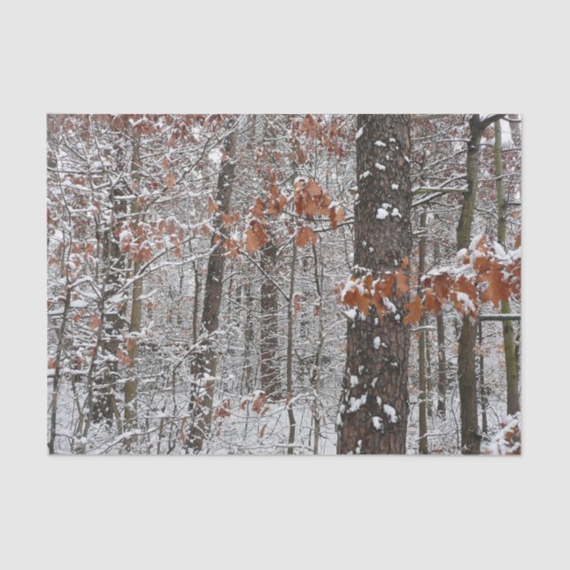 Snow Covered Oak Trees Winter Nature Photography Tissue Paper (Front)