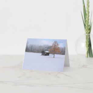 Snow Covered Paddock Card