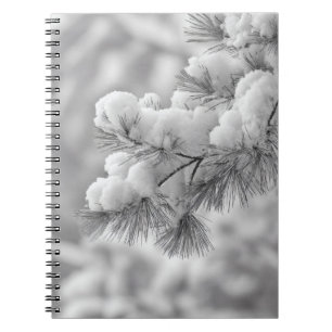Snow Covered Pine Branch Notebook