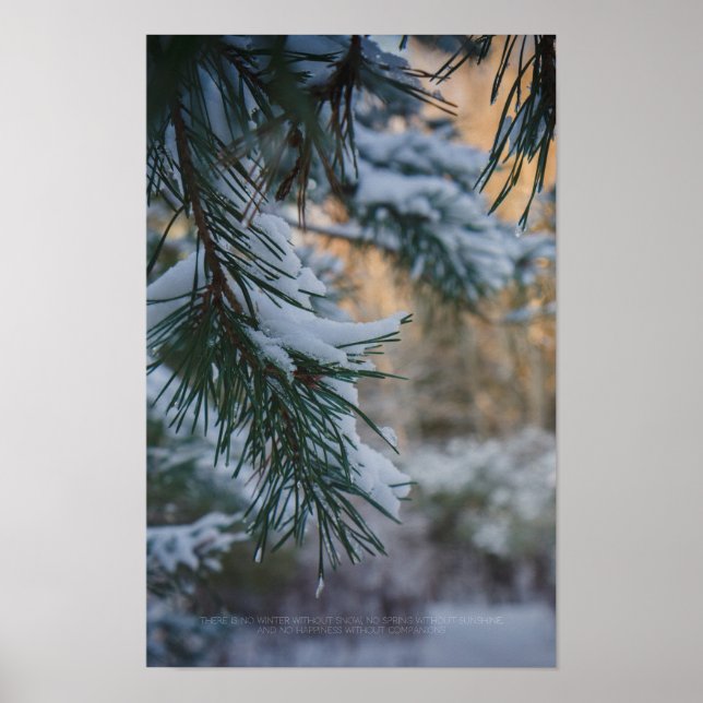 Snow-covered pine tree in the winter forest poster (Front)