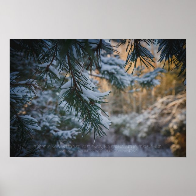 Snow-covered pine tree in the winter forest poster (Front)