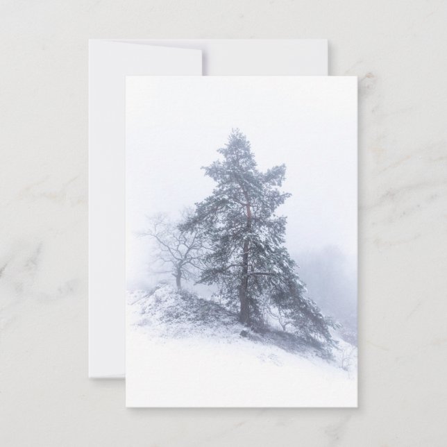 Snow-covered Pine Tree Winter Photo Card (Front)