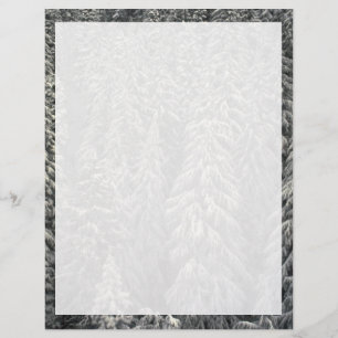 Snow-covered pine trees