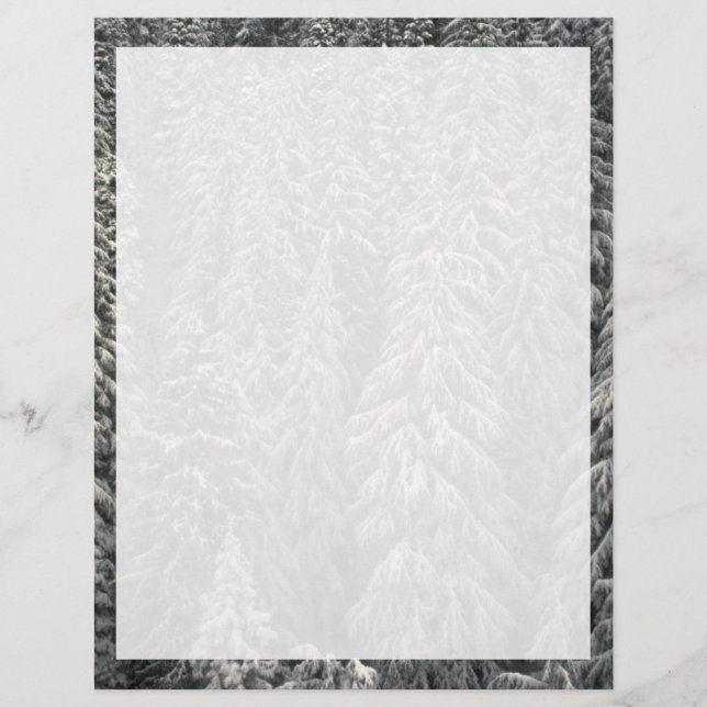 Snow-covered pine trees (Front)