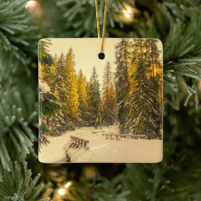 Snow Covered Pine Trees Forest Nature Photo Ceramic Ornament (Tree)