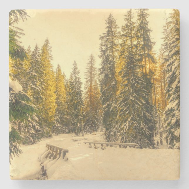 Snow Covered Pine Trees Forest Nature Photo Stone Coaster (Front)