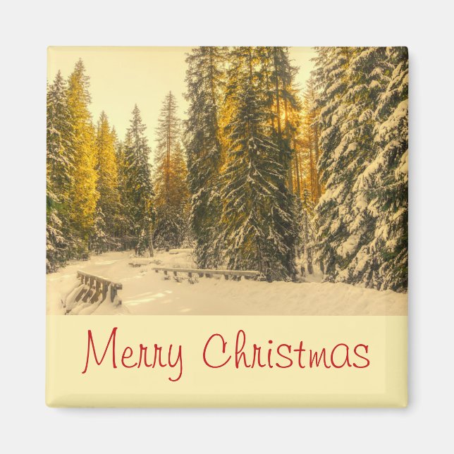 Snow Covered Pine Trees Forest Photo Christmas Magnet (Front)
